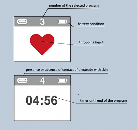 NEURODENS CARDIO